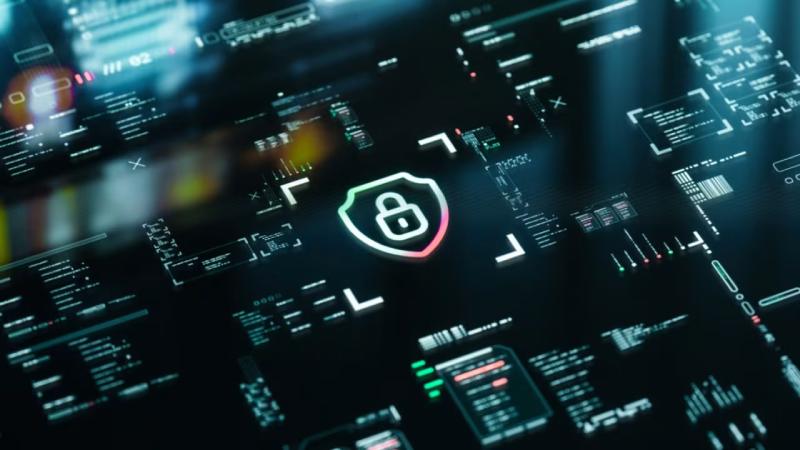 湘东区软件开发公司